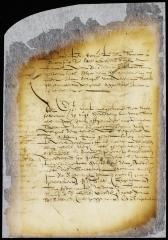 Petition of Peter Symonsen complaining that Anthony Jansen prevents him removing some reed he has out