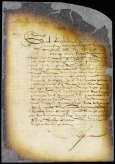 Order to seize the reed belonging to Peter Symonsen