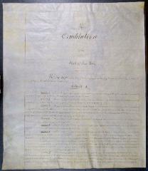 Third Constitution of the State of New York 
