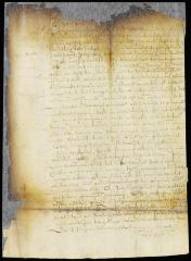 Letter from the magistrates to the director and council