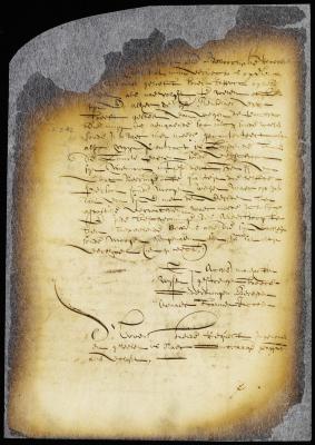 Order referring the petition of Harmen Jacobs to the court at Fort Orange