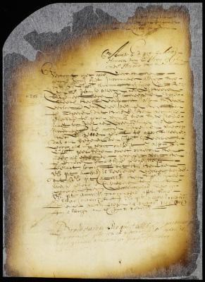 Order granting George Woolsey's petition
