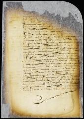 Petition of burgomasters, etc., of the city of New Amsterdam for leave to impose certain taxes
