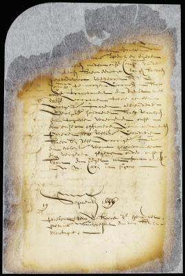 Pardon of Nicholas Lange Velthuysen