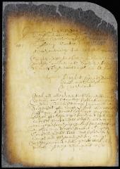 Proceedings in the case of Cornelis Schut against Maria Verleth