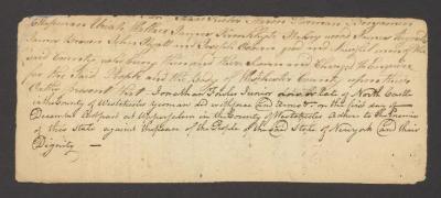 People v. Jonathan Fowler, Jr.