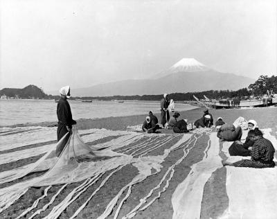 Fisherman Mending and Drying Nets on Sandy Beach; Fuji-San in Distance. Japan