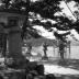 Stone Lanterns Along Shore, Torii Beyond. Miyajima, Inland Sea, Japan