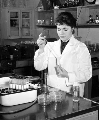 Scientist in a laboratory, 1956