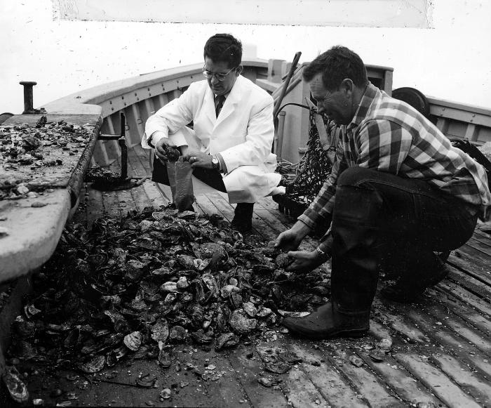 Doctor and Man Examining Shells