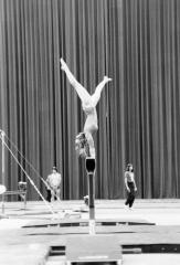 Women's gymnastics at the Empire State Games