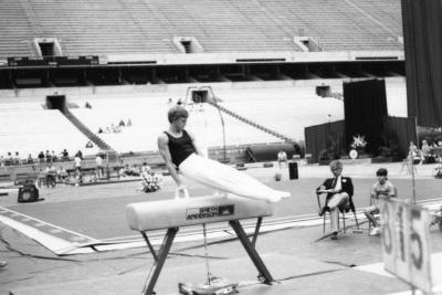 Men's gymnastics at the Empire State Games