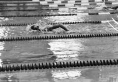 Women's swimming at the Empire State Games