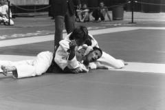 Men's judo at the Empire State Games