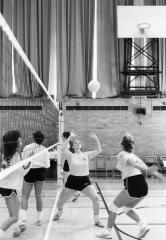 Women's volleyball at the Empire State Games