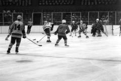 Men's ice hockey at the Empire State Games