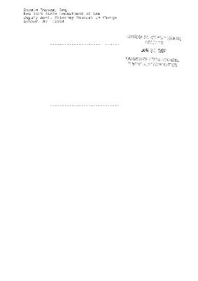 Order by the Honorable John T. Elfvin, United States District Court, Western District of New York in the matter of Akil Al-Jundi, et al. v. Pfeil et al.