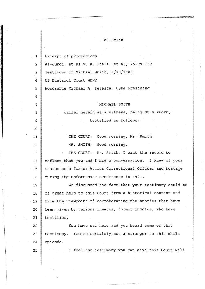 Excerpt of Proceedings in the Matter of Al-Jundi, et al., vs. Pfeil, et al., United States District Court, Western District of New York