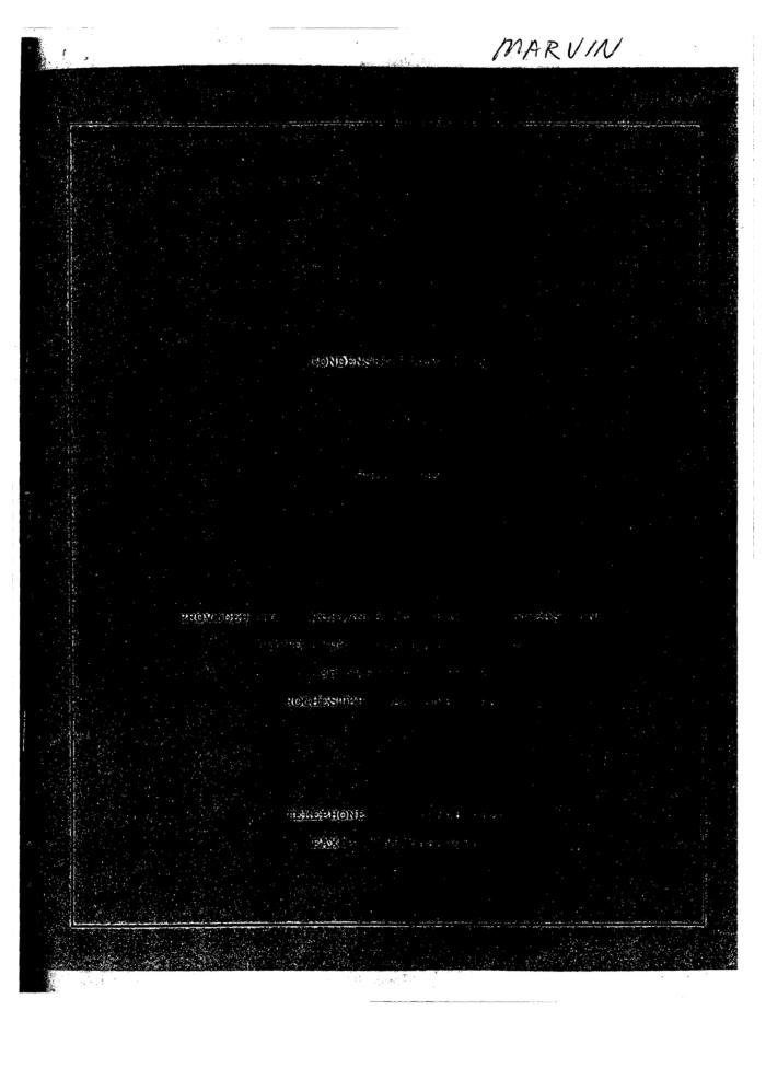 Examination Before Trial of Robert E. Marvin, United States District Court, Western District of New York in the matter of Akil Al-Jundi, et al. v. Estate of Rockefeller, et al.