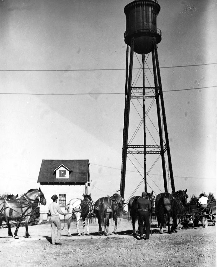 Thomas Indian School Photograph,  Farm Workers and Harness Team