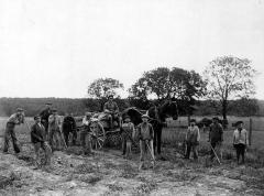 Thomas Indian School Photograph, Boys Harvesting Crops