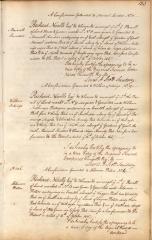 Confirmation of letters patent issued to Solomon Pieters