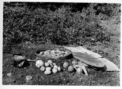 World War II - Root Cellar Photograph