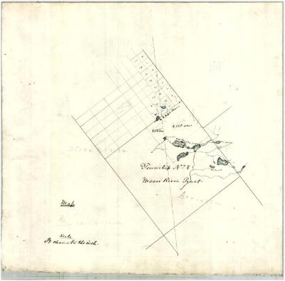Map of Township Number 8 and Moose River Tract