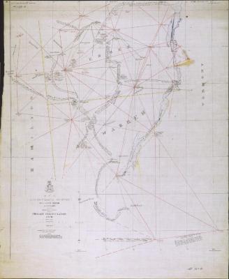 Progress Sketch of the Primary Triangulation