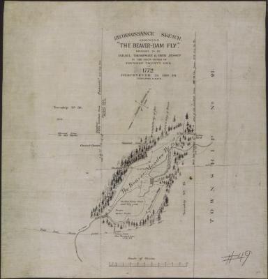 Reconnaissance Sketch Showing the "Beaver Dam Fly" in Township No.35, Totten and Crossfield's Purchase.