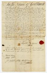 Probated will of Elizabeth Havens, 1784
