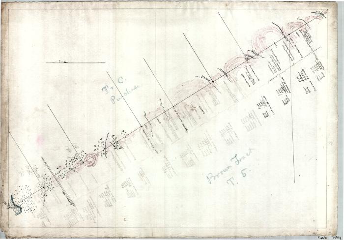 Map of Timber Lands on Totten and Crossfield Purchase and Brown's Tract