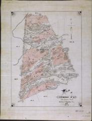 Map of Township No. 8, John Brown's Tract