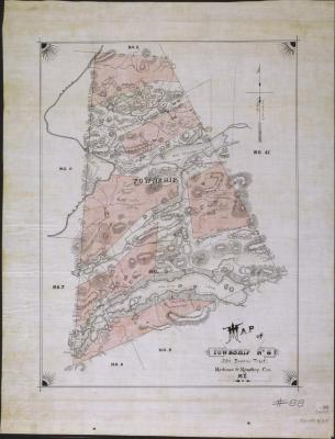 Map of Township No. 8, John Brown's Tract