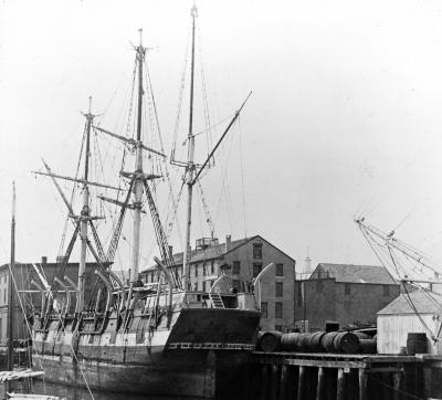 The whaler "Falcon" still in service