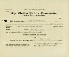 "Sawdust" motion picture case file