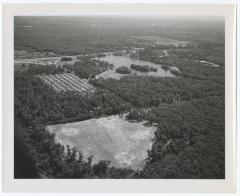 Aerial Photograph of Belmont State Park