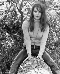 Natalie Wood in "Bob &amp; Carol &amp; Ted &amp; Alice"