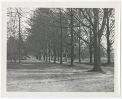 Belmont Lake State Park