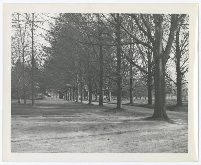Belmont Lake State Park