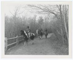 Belmont Lake State Park. Ice Skating and Horseback Riding