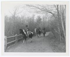 Belmont Lake State Park. Ice Skating and Horseback Riding