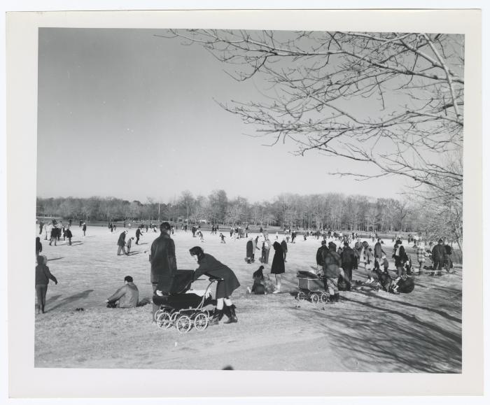 Belmont Lake State Park. Ice Skating and Horseback Riding