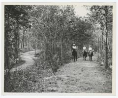 Belmont Lake State Park. Ice Skating and Horseback Riding