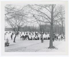 Belmont Lake State Park. Ice Skating and Horseback Riding