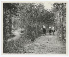Belmont Lake State Park. Ice Skating and Horseback Riding