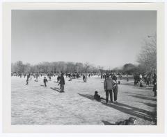 Belmont Lake State Park. Ice Skating and Horseback Riding