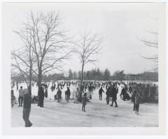 Belmont Lake State Park. Ice Skating and Horseback Riding