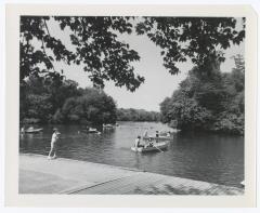 Belmont Lake State Park. Picnic Area and Row Boating