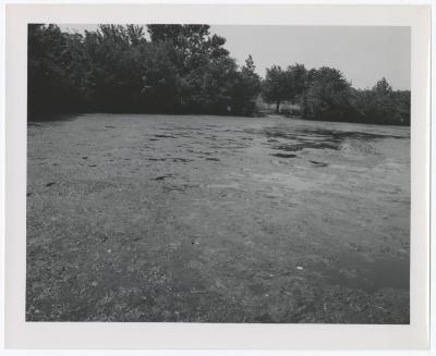 Belmont Lake State Park. Picnic Areas, Playgrounds
